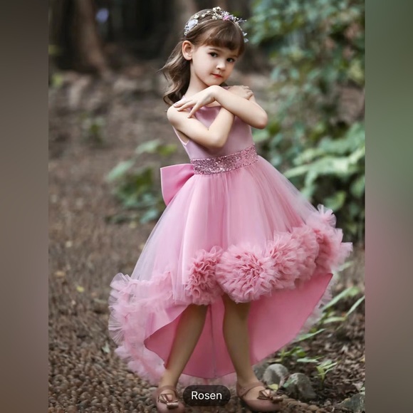 🎉LAST PIECE 🎉 Girls Princess Dress Formal Dress For Christmas,Birthday Dress - Picture 7 of 8